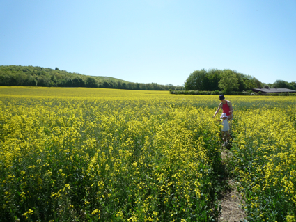 23 May walk 3.jpg
